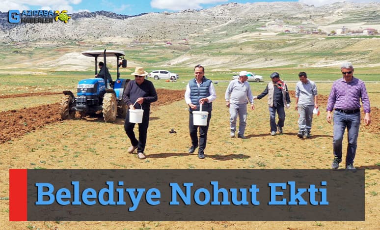 Belediye Nohut Ekti