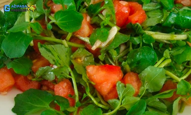 Gazipaşa'da Gerdeme Salatası Nasıl Yapılır?