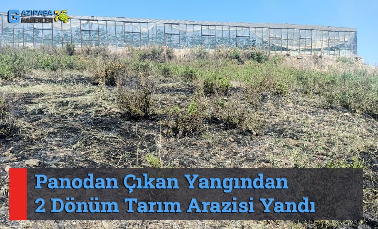 Panodan Çıkan Yangından 2 Dönüm Tarım Arazisi Yandı