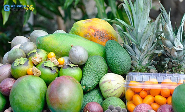 Tropikal Meyvelerin Özellikleri Nelerdir?