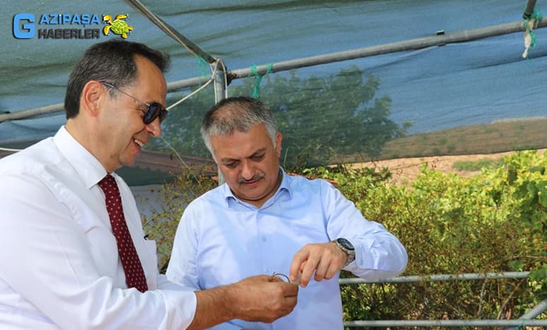 Türkiye’nin Tropikal Meyve Üretim Merkezi Gazipaşa